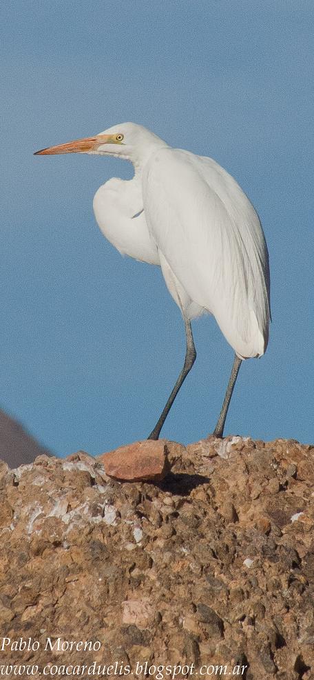 Photo Garza Blanca