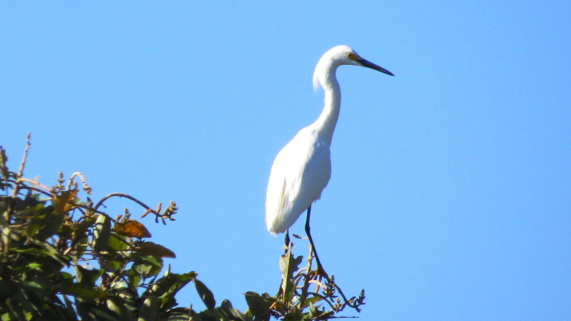 Photo Garcita Blanca